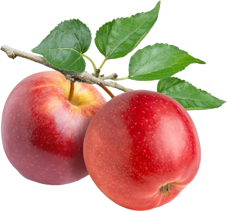 Æble cider eddike