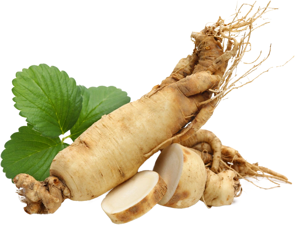 Koreansk ginseng